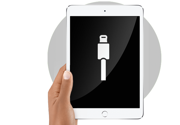 Замена dock-разъема нижний шлейф на iPad 2019